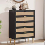 Comò a 5 cassetti in rattan Acekool con gambe dorate, cassettiera alta per camera da letto e soggiorno